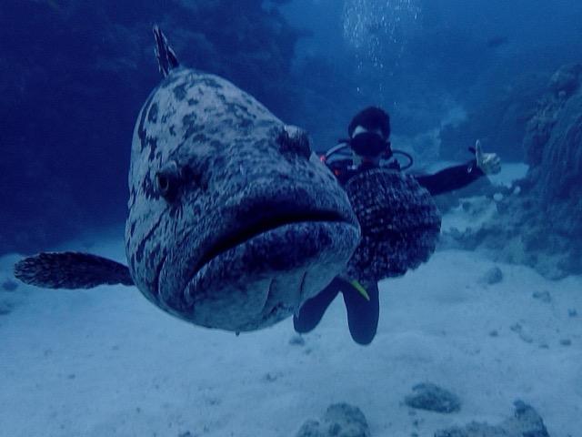 Digital Photography 1