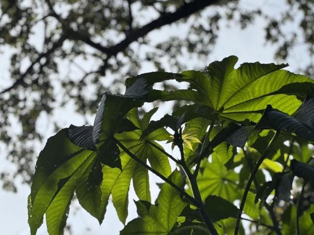 Digital Photography 12