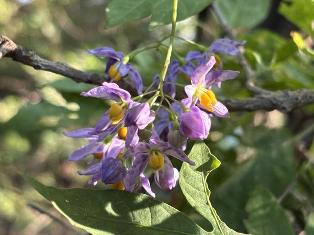 Digital Photography 13