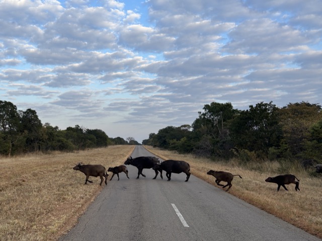 Digital Photography 14