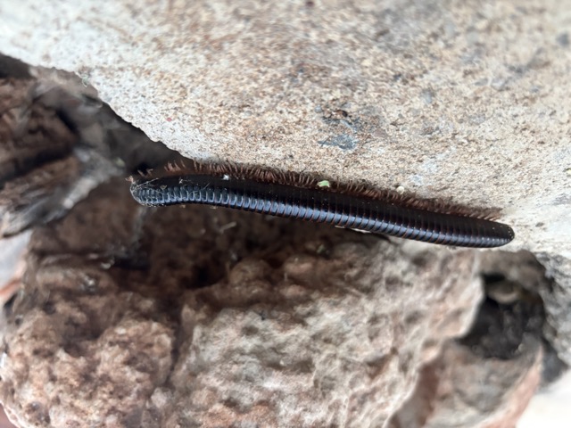 Digital Photography 15