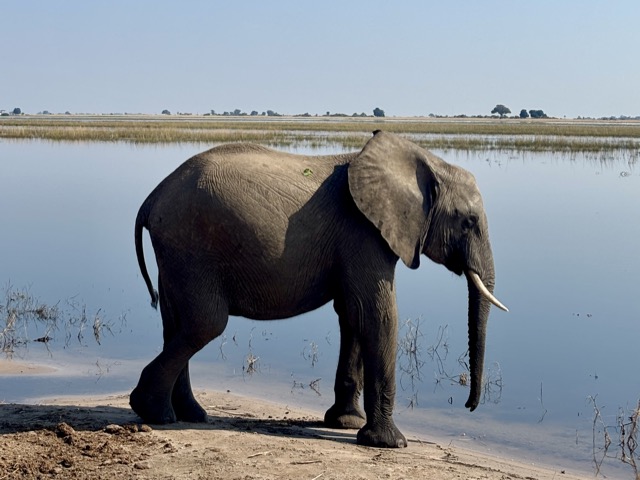 Digital Photography 16