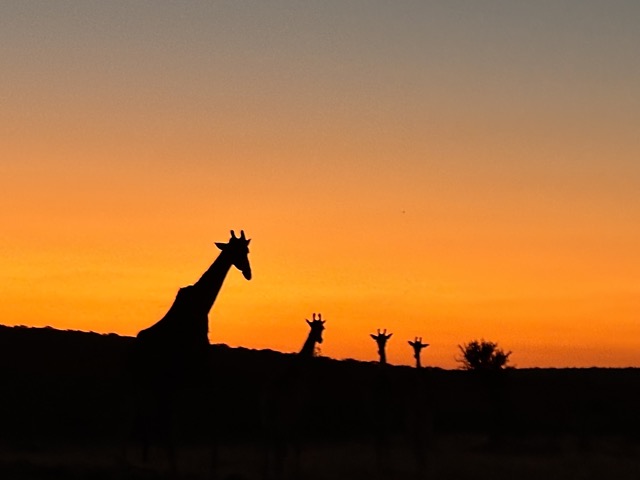 Digital Photography 17