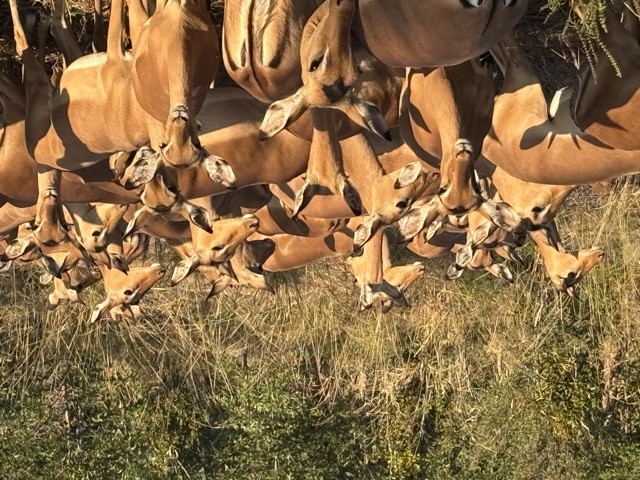 Digital Photography 18