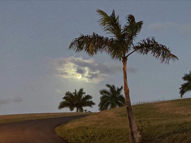 Digital Photography 2