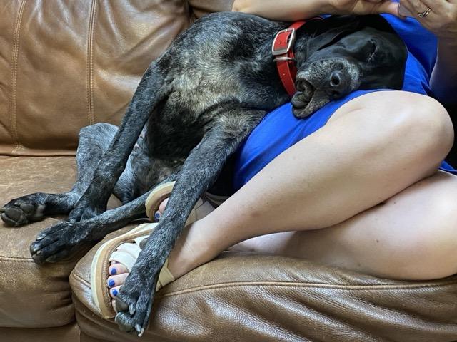 Digital Photography 20