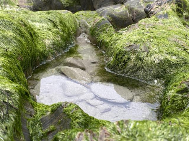 Digital Photography 23