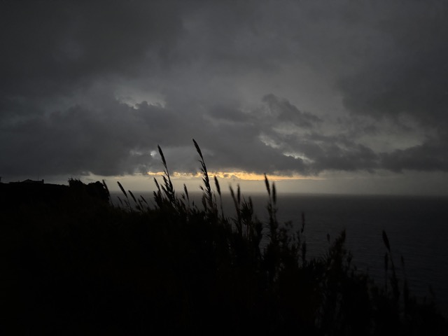 Digital Photography 25