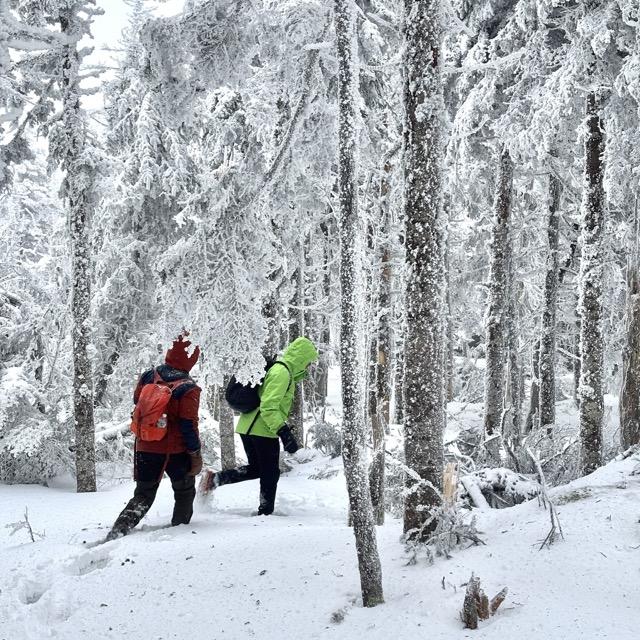 Digital Photography 27