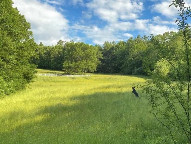 Digital Photography 4