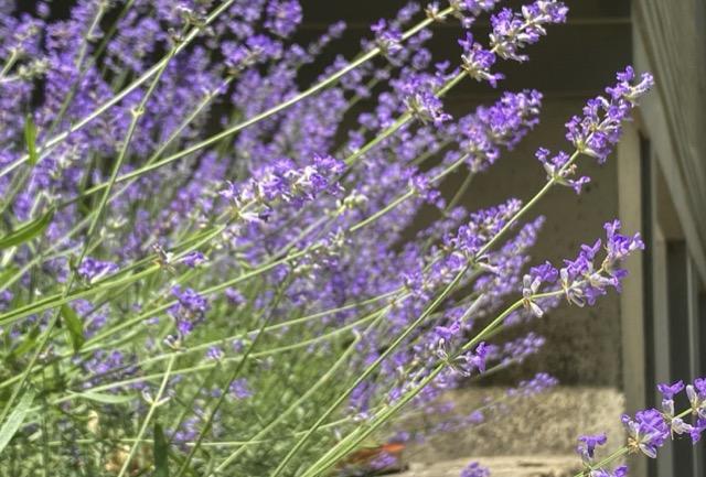 Digital Photography 6