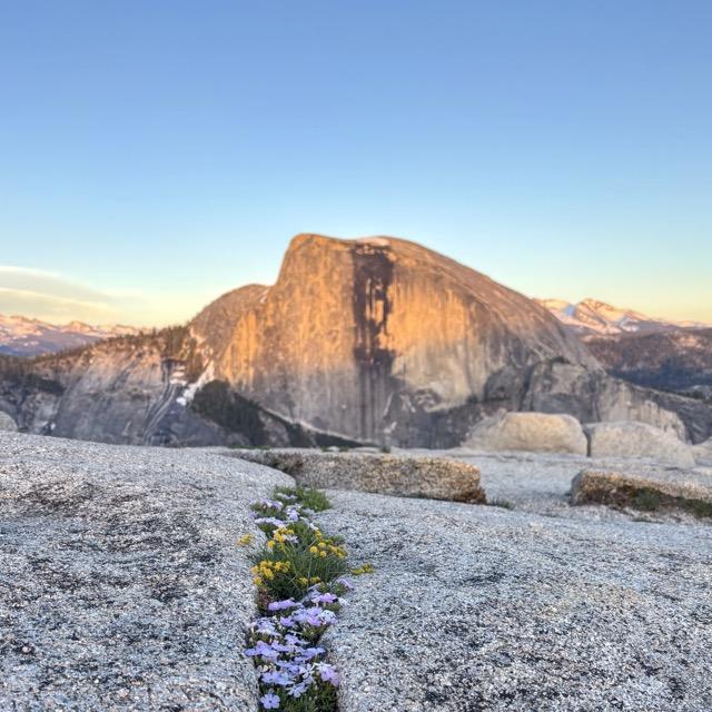 Digital Photography 7